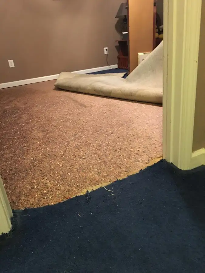Carpet pad removal revealing water damage during Water Mitigation Services in Willingboro